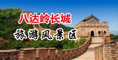 8x8x黄色网页在线看中国北京-八达岭长城旅游风景区